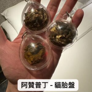 阿贊普丁 貓胎盤