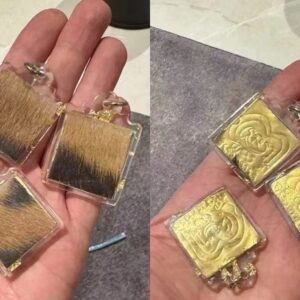 🐯毛符片 阿贊Lex