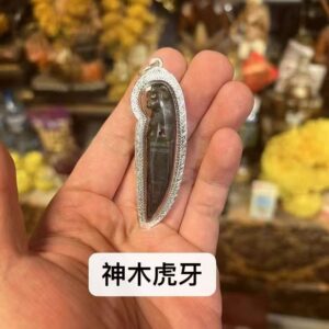 龍婆宋薩 神木虎牙