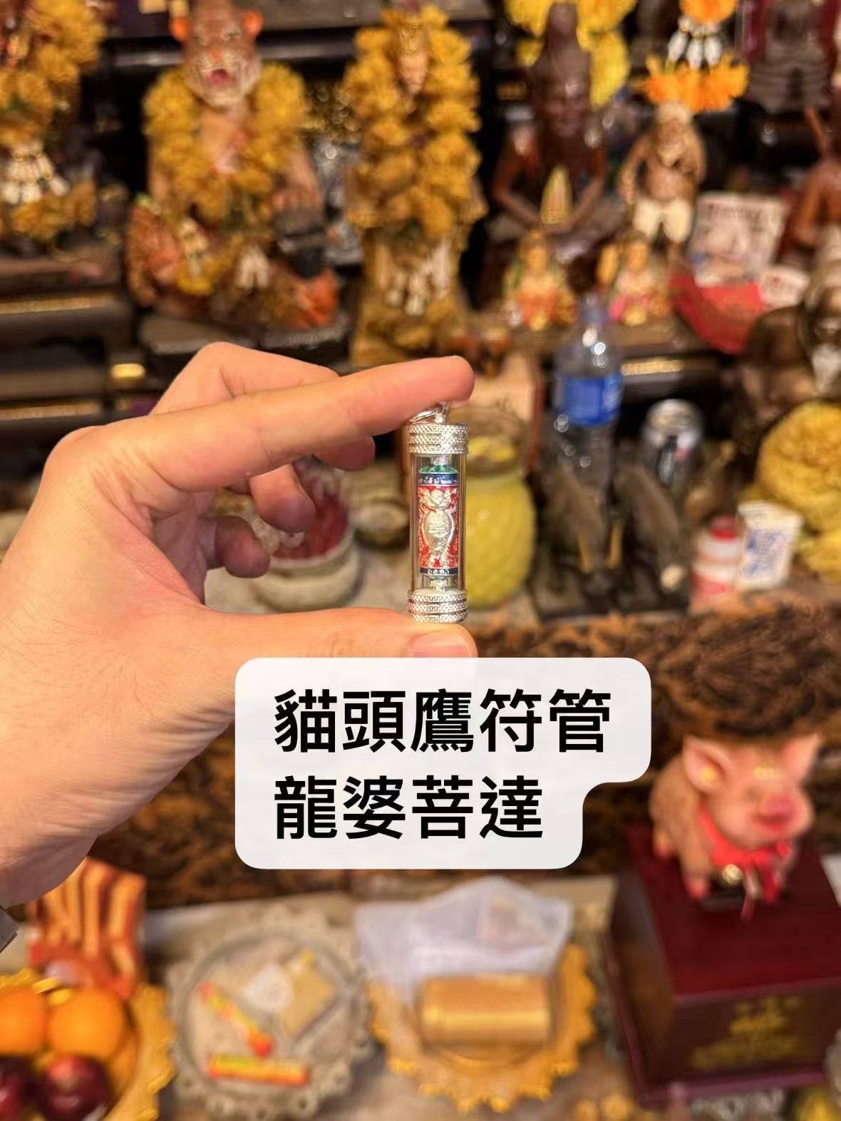 龍婆菩達 貓頭鷹符管