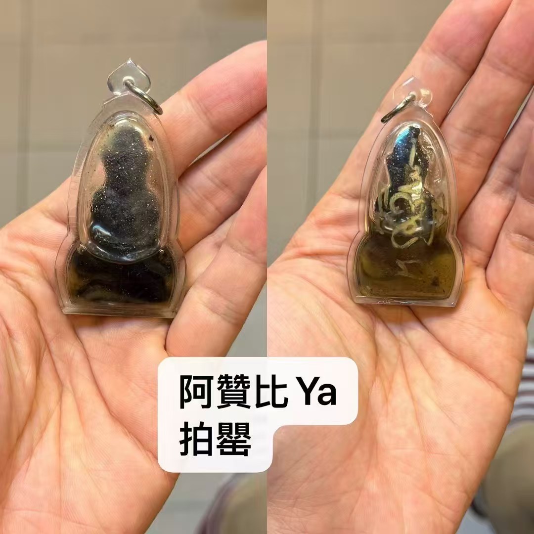 啊贊比ya 拍罌