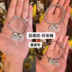 龍婆笨 佛歷2541年 目南初好命豬