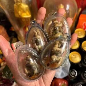 大鬼Incool (燕通) 阿贊普丁