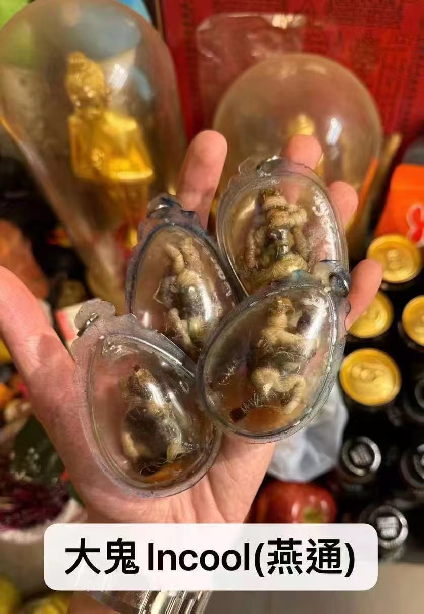 大鬼Incool (燕通) 阿贊普丁