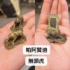 帕阿贊迪  無頭虎