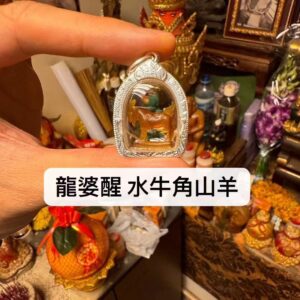 龍婆醒 水牛角山羊