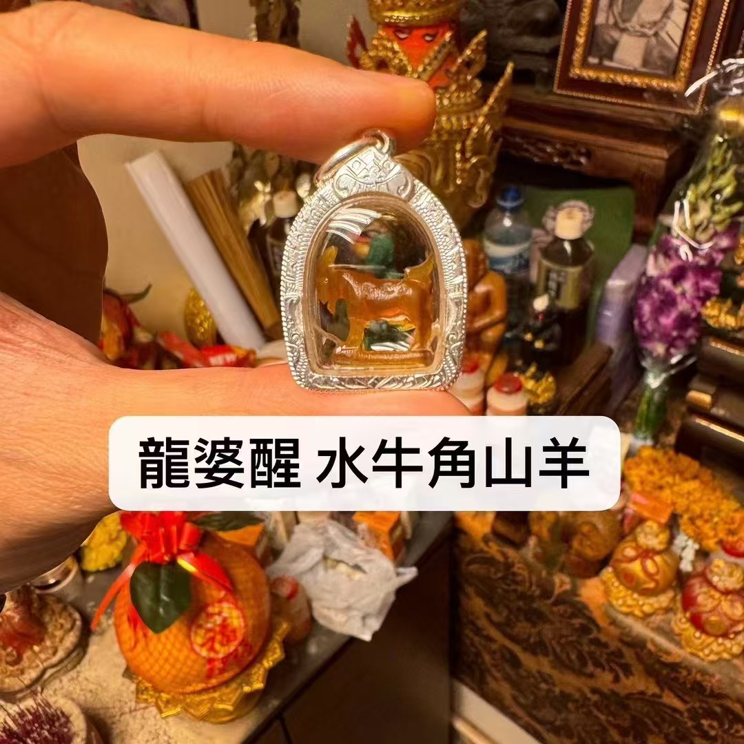 龍婆醒 水牛角山羊