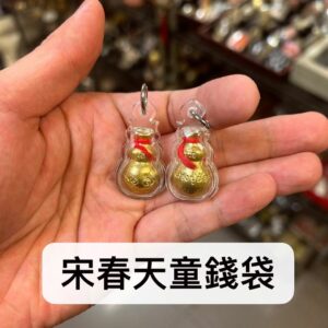 宋春天童錢袋