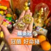 龍婆冠 好命豬 2553年